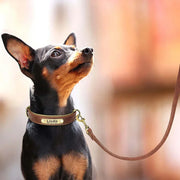 Personalized Dog Collar 