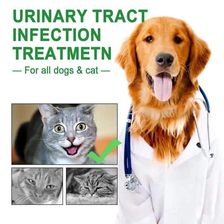 Natural Dog UTI Solution Dog UTI Dog Urinary Tract Solution