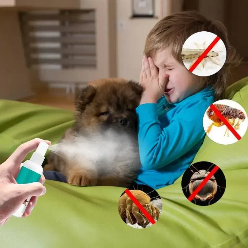Load image into Gallery viewer, Anti-Itch Spray
