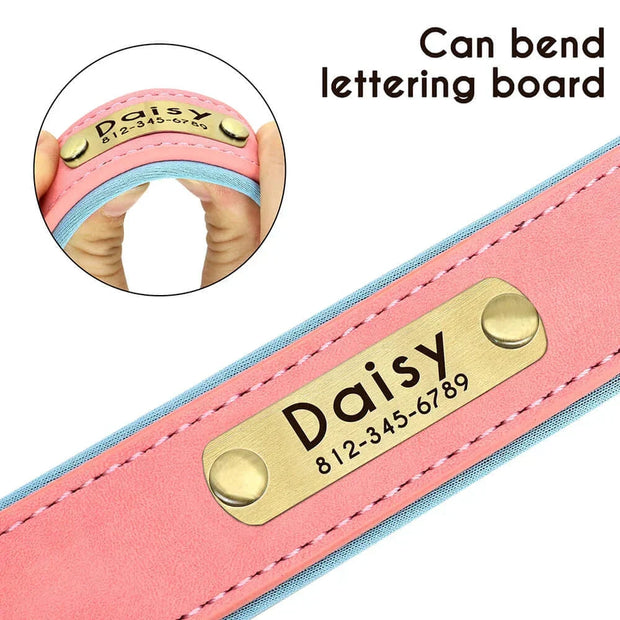 Personalized Dog Collar 