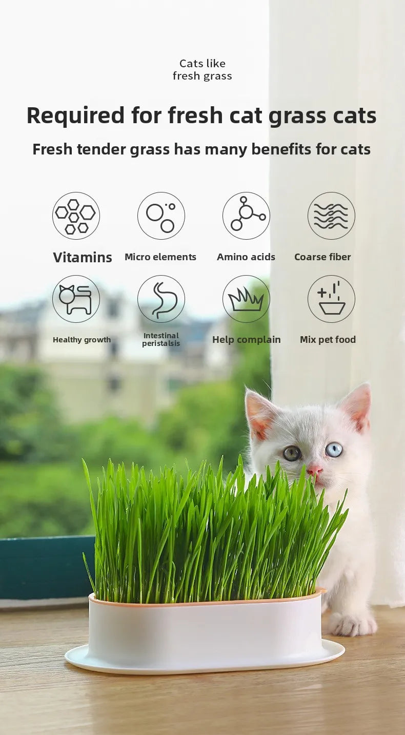 Load image into Gallery viewer, Hydroponic Cat Grass Box
