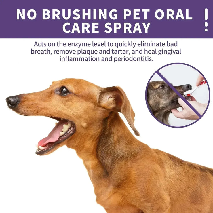 pet dental spray