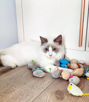 Cat playing with catnip-infused rattle mouse toy set on wooden floor.