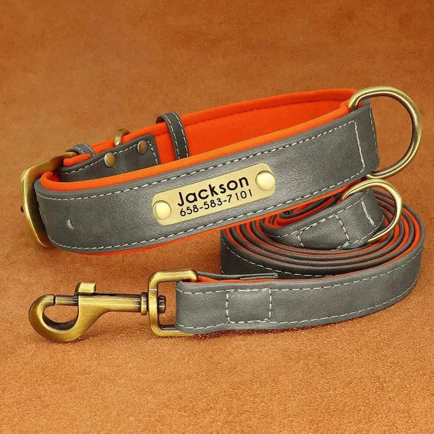 Personalized Dog Collar 