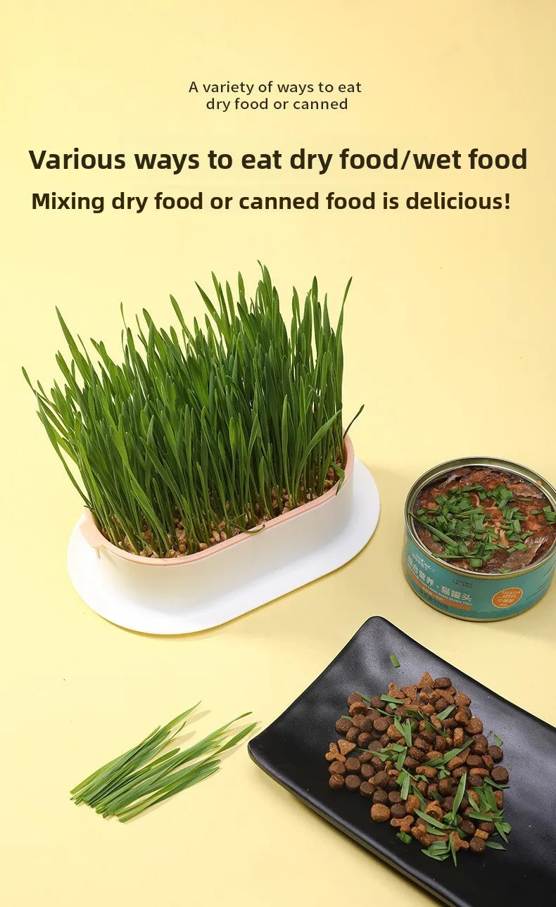 Load image into Gallery viewer, Hydroponic Cat Grass Box
