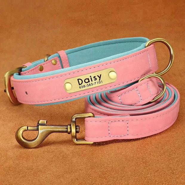 Personalized Dog Collar 