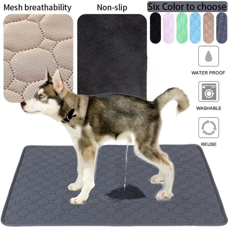 EcoComfort Washable Pee Pad & Pet Blanket in use by a dog, showcasing absorbency and multi-color options.