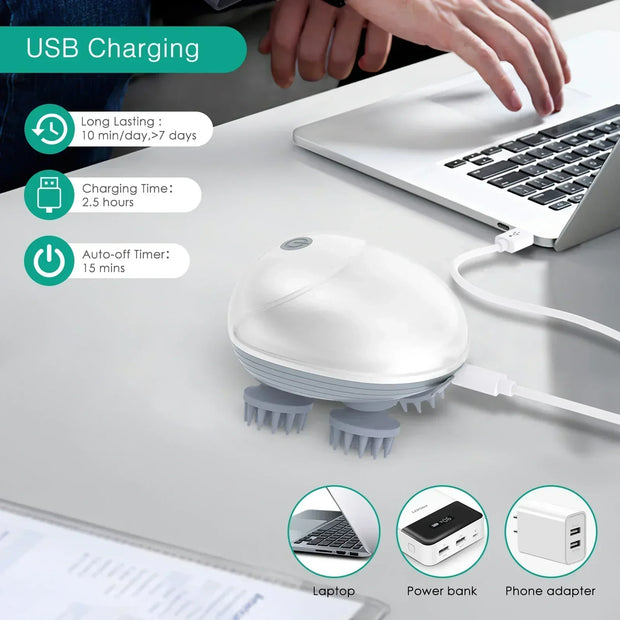 Purrfect Paws Electric Pet Massager with USB charging on desk near laptop.