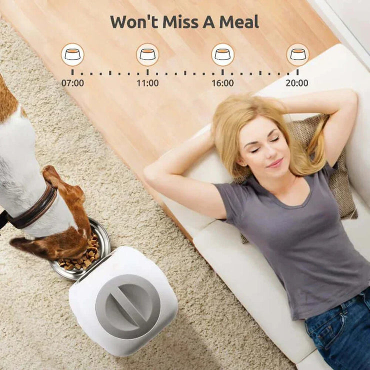 Auto Pet feeder