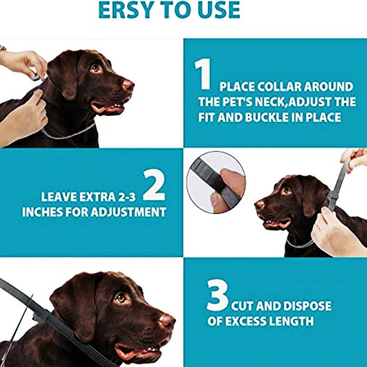 FleaGuard Retractable Pet Collar