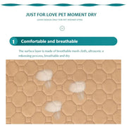 EcoComfort Washable Pee Pad & Pet Blanket