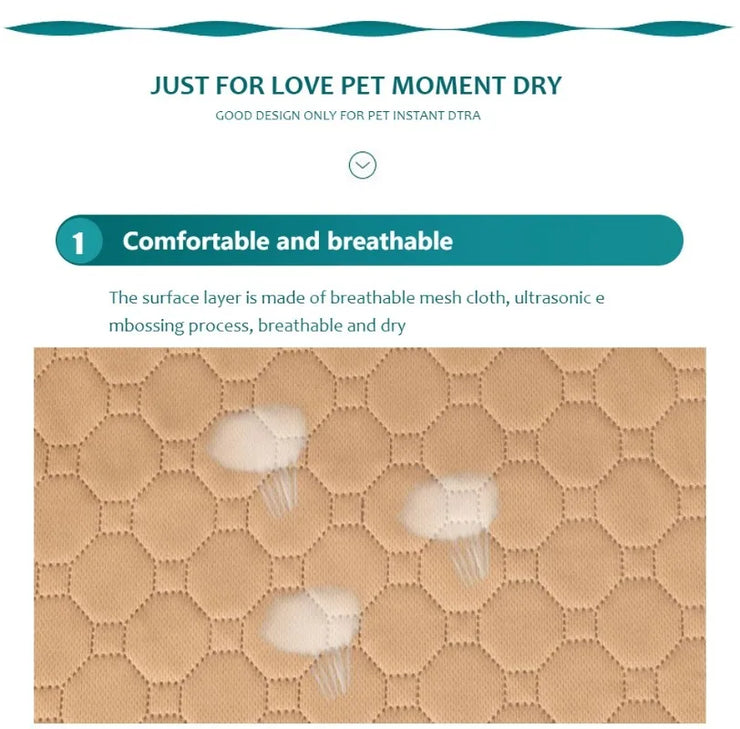 EcoComfort Washable Pee Pad & Pet Blanket