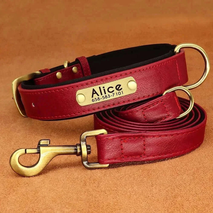 Personalized Dog Collar 