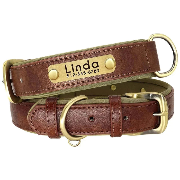 Personalized Dog Collar 