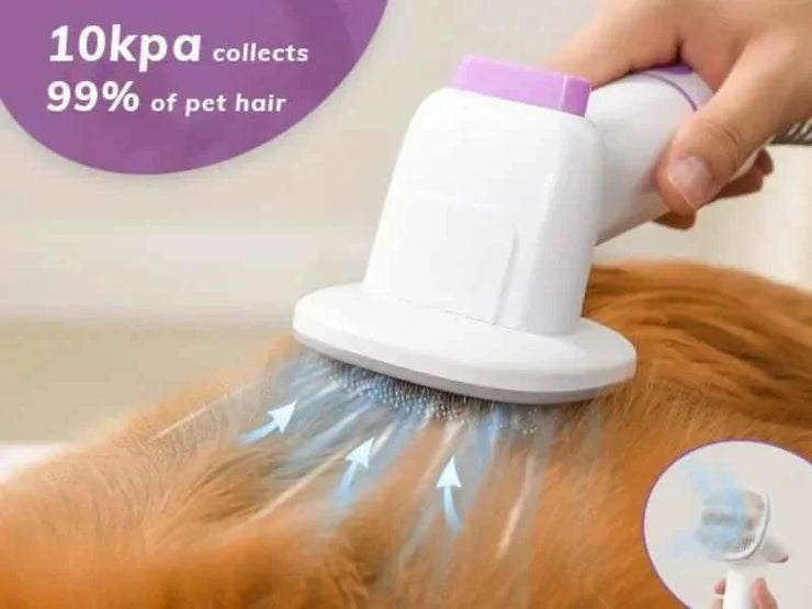 Ultimate Geoorood Pet Grooming Kit: Keep Your Furry Friend Fresh & Fluffy!