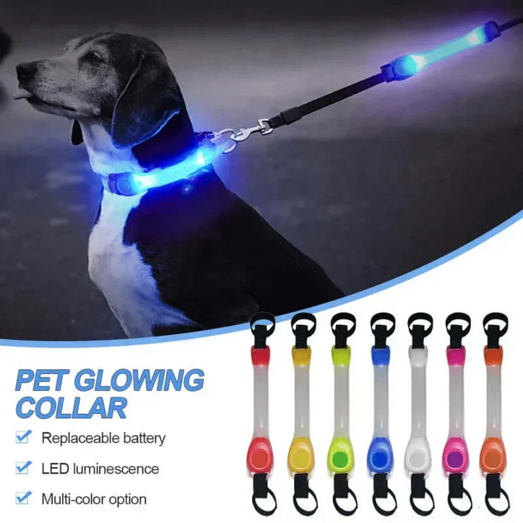 Waterproof LED glowing dog collar for nighttime safety.