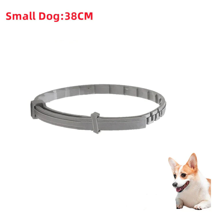 FleaGuard Retractable Pet Collar for small dogs, 38CM, effective flea prevention.