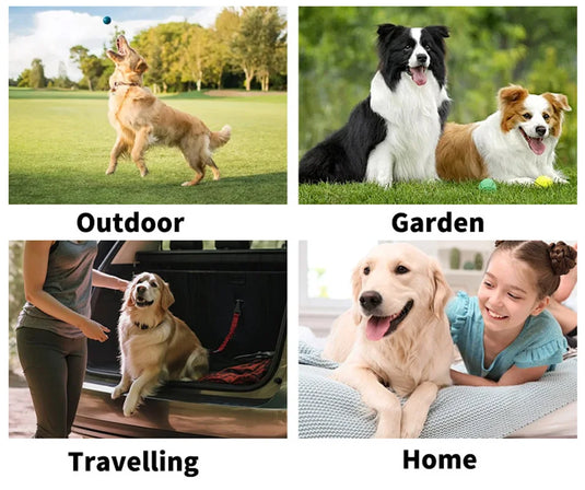 Pet Disposable Gloves for Grooming