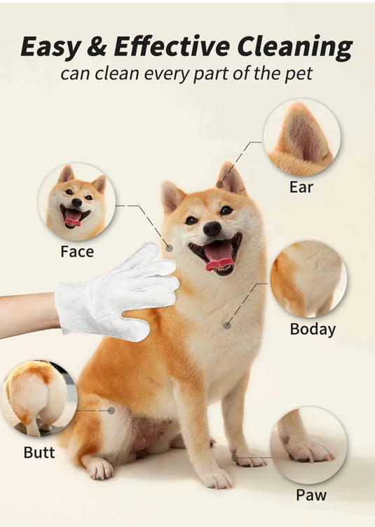 Pet Disposable Gloves for Grooming