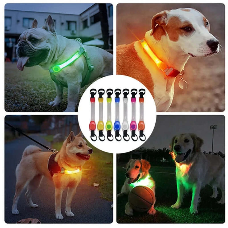 Dog Anti Lost Safety Glowing Collar Outdoor Waterproof Warning LED