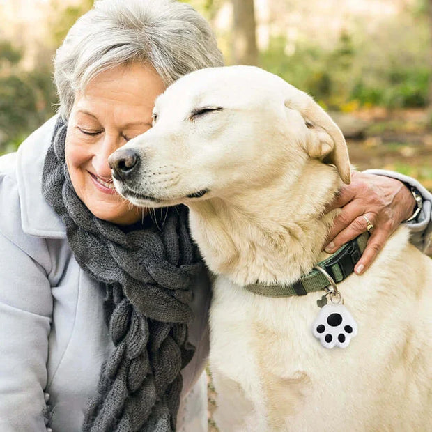 Paw-Shaped GPS Tracker