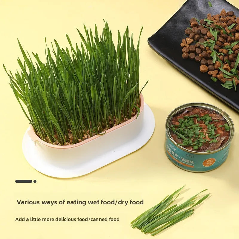 Load image into Gallery viewer, Hydroponic Cat Grass Box
