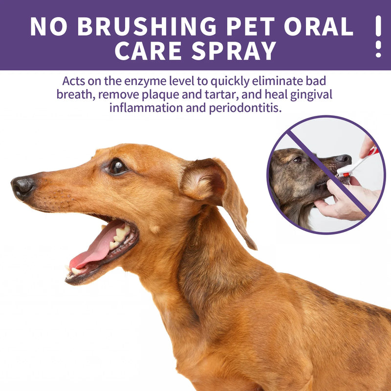 Load image into Gallery viewer, Dog &amp; Cat Dental Care Spray
