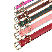 Personalized Dog Collar 