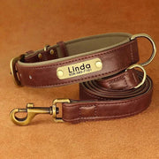 Personalized Dog Collar 