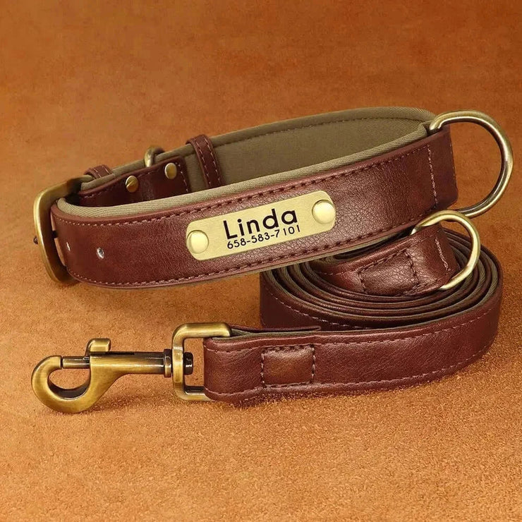 Personalized Dog Collar 