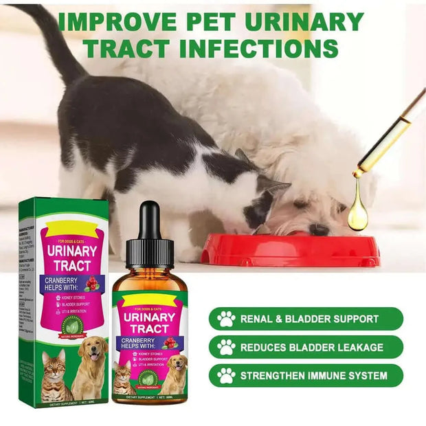 Natural Dog UTI Solution Dog UTI Dog Urinary Tract Solution