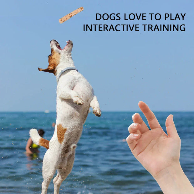 Dog jumping to catch Natural Dog Chew Stick during interactive training on a beach.