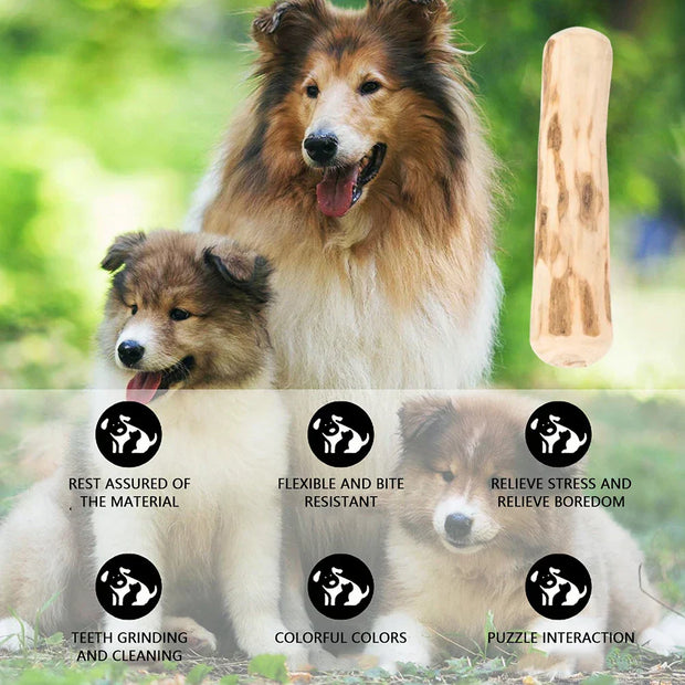 Natural dog chew stick made from sustainable coffee wood for dental health and stress relief.