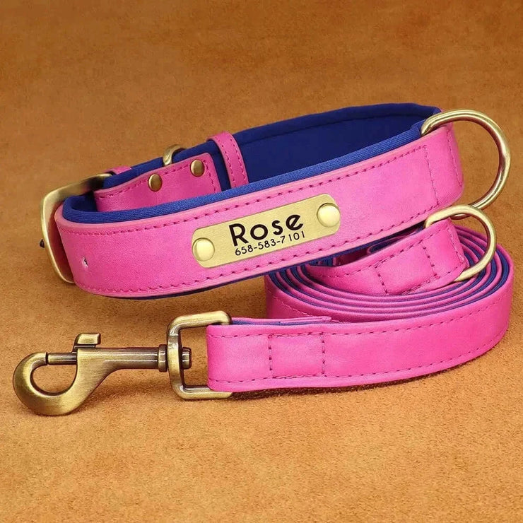 Personalized Dog Collar 