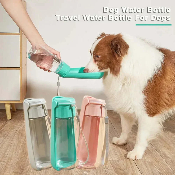 Portable pet water bottle, leakproof, foldable, for dogs and cats, with durable construction for outdoor use.