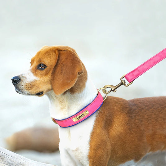 Personalized Leather Dog Collar & Leash Set with Engraved Nameplate